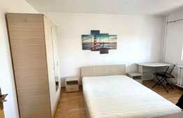 1 camera, 25 mp, pet friendly, zona Spitalului de Recuperare