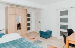 1 camera decomandat, 32mp, zona strazii Paris