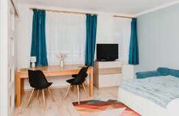 1 camera decomandat, 32mp, zona strazii Paris