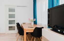 1 camera decomandat, 32mp, zona strazii Paris