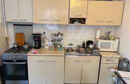 Apartament 2 camere, 40 mp utili, Centru Istoric