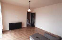 Suprafata generoasa, parcare, acces restrictionat, zona Terra