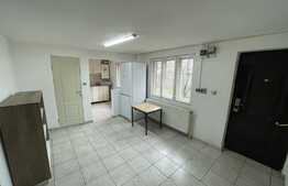 1 camera, Pet Friendly, 36 mp, zona Oasului