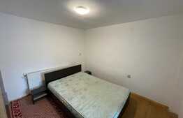 1 camera, Pet Friendly, 36 mp, zona Oasului