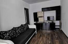 Apartament o camera, 36 mp, zona Porii