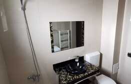 Apartament o camera, 36 mp, zona Porii