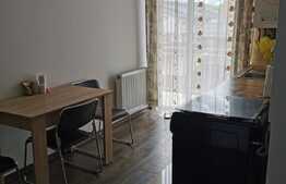 Apartament o camera, 36 mp, zona Porii