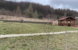 Teren intravilan 1000mp in Faget, zona Vila Tusa