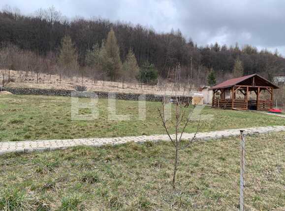 Teren de vânzare Făget - 63418TV | BLITZ Cluj-Napoca | Poza2