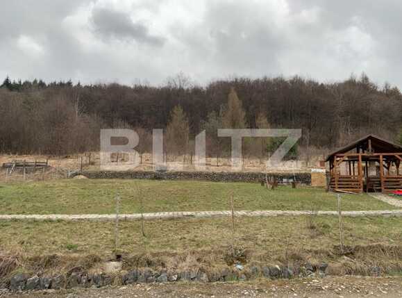 Teren de vânzare Făget - 63418TV | BLITZ Cluj-Napoca | Poza1