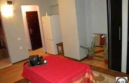 Apartament 1 camera, 33 mp utili, mobilat, zona strazii Calea Motilor