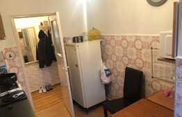 Apartament 3 camere zona linistita in Noua 