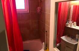 Apartament 3 camere zona linistita in Noua 