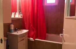 Apartament 3 camere zona linistita in Noua 