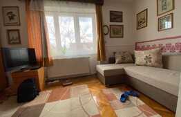 Apartament 2 camere, GRADINA, zona strazii Oasului!