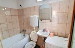 1 camera, 30 mp, parcare in curte, zona strazii Dunarii