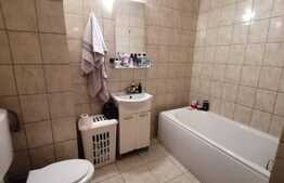 Apartament cu 2 camere, zona Muzeul Apei