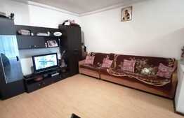 Apartament cu 2 camere, zona Muzeul Apei