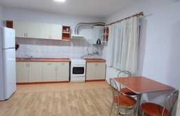 Apartament de 2 camere cu suprafata generoasa si loc de parcare cu CF !