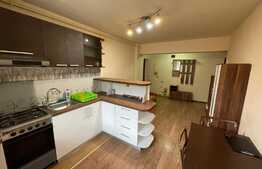 2 camere, Pet Friendly, semidecomandat, 45 mp, zona Edgar Quinet