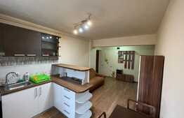 2 camere, Pet Friendly, semidecomandat, 45 mp, zona Edgar Quinet