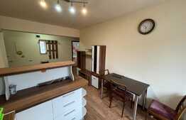 2 camere, Pet Friendly, semidecomandat, 45 mp, zona Edgar Quinet