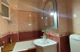 Casa de 7 camere si 12 paturi, zona Darste