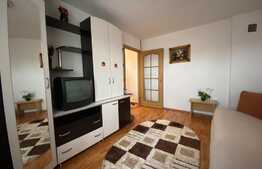 Casa de 7 camere si 12 paturi, zona Darste