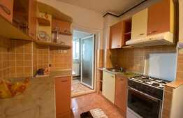 Casa de 7 camere si 12 paturi, zona Darste