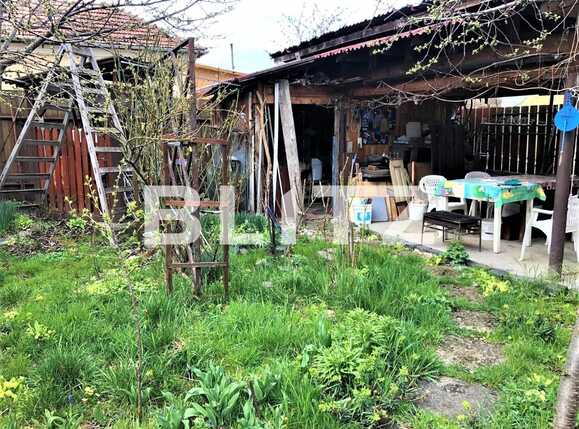 Casa de vânzare 3 camere Dambul Rotund - 63482CV | BLITZ Cluj-Napoca | Poza9