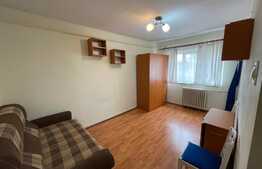 1 camera, Pet Friendly, semidecomandat, 25 mp, zona Iulius Mall