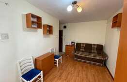 1 camera, Pet Friendly, semidecomandat, 25 mp, zona Iulius Mall