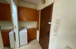 1 camera, Pet Friendly, semidecomandat, 25 mp, zona Iulius Mall