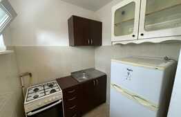 1 camera, Pet Friendly, semidecomandat, 25 mp, zona Iulius Mall