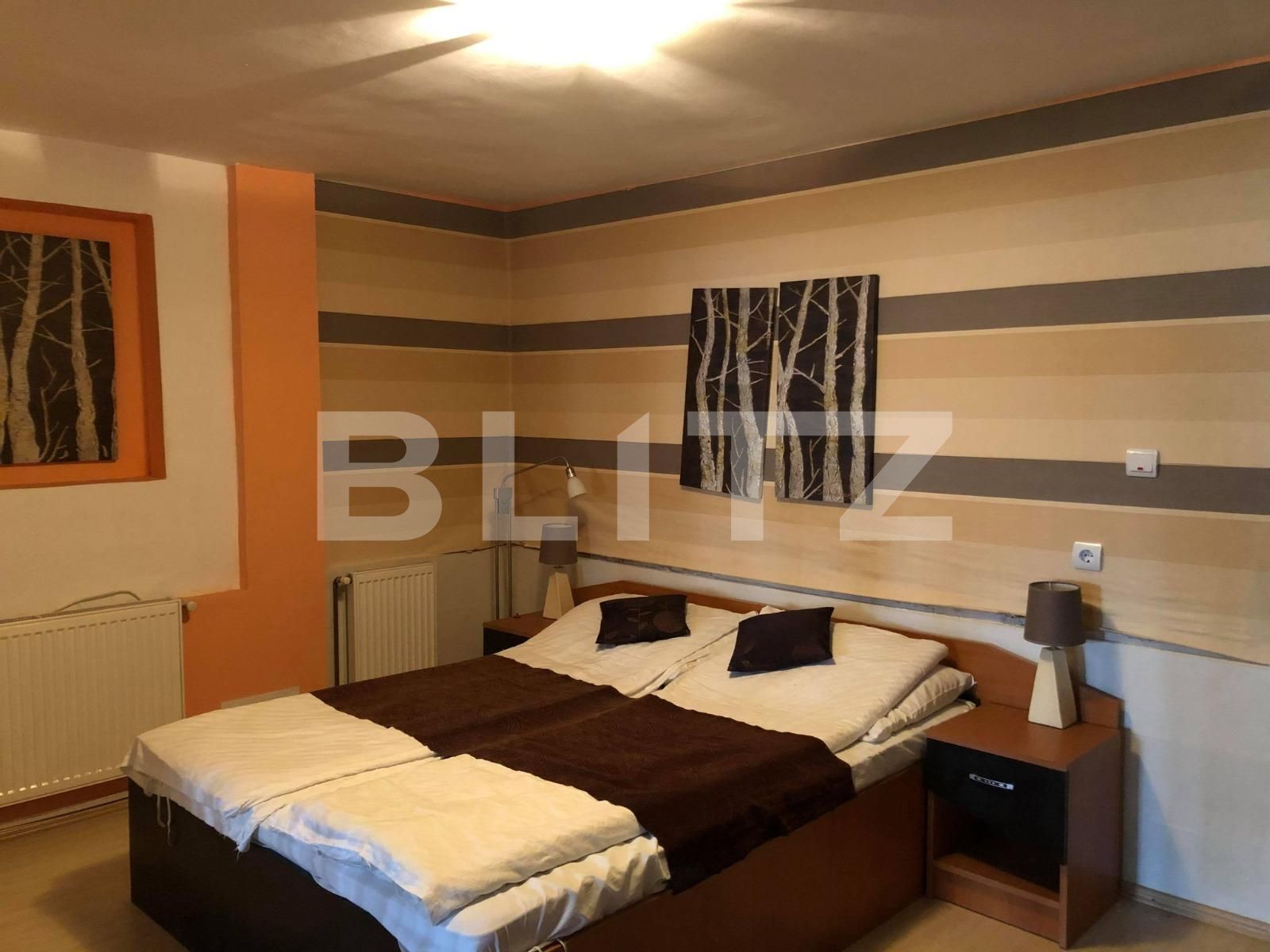 Casa de vânzare 8 camere Grigorescu - 63536CV | BLITZ Cluj-Napoca | Poza3