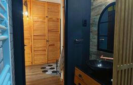 Apartament 1 camera, 40 mp, pet friendly, parcare, zona Park Lake