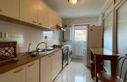 2 camere, decomandat, 58 mp, parcare, pet friendly, Calea Turzii