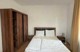 2 camere, semidecomandat,  pet friendly, 50 mp, zona UMF