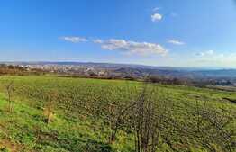 Teren 1000mp,cu panorama deosebita,in cartierul Dambul Rotund zona Colonia Breaza
