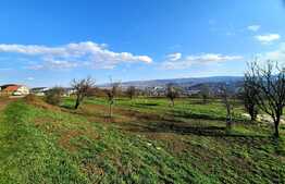 Teren 1000mp,cu panorama deosebita,in cartierul Dambul Rotund zona Colonia Breaza