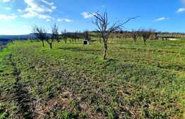 Teren 1000mp,cu panorama deosebita,in cartierul Dambul Rotund zona Colonia Breaza