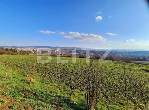 Teren de vânzare Dambul Rotund - 63558TV | BLITZ Cluj-Napoca | Poza1