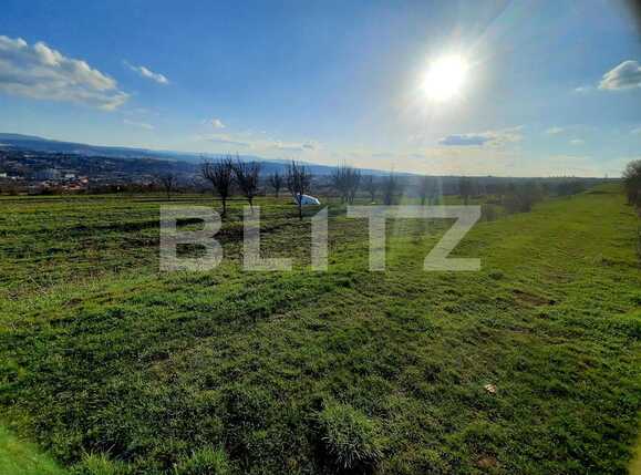 Teren de vânzare Dambul Rotund - 63558TV | BLITZ Cluj-Napoca | Poza4