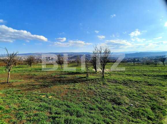 Teren de vânzare Dambul Rotund - 63558TV | BLITZ Cluj-Napoca | Poza6