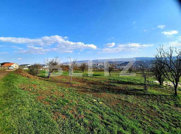 Teren de vânzare Dambul Rotund - 63558TV | BLITZ Cluj-Napoca | Poza5