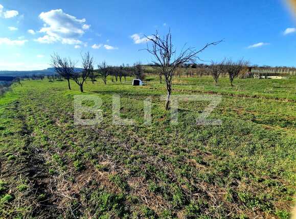 Teren de vânzare Dambul Rotund - 63558TV | BLITZ Cluj-Napoca | Poza7