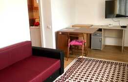 1 camera, semidecomandat, 35 mp, parcare, pet friendly, zona Intre Lacuri