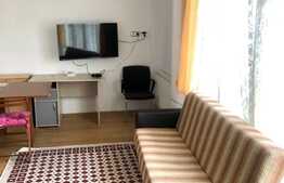 1 camera, semidecomandat, 35 mp, parcare, pet friendly, zona Intre Lacuri