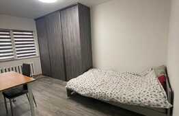 Garsoniera, 24 mp, recent renovata, zona strazii Cernei