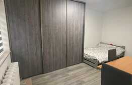 Garsoniera, 24 mp, recent renovata, zona strazii Cernei